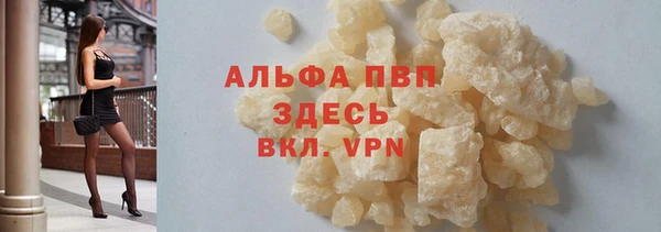 стаф Новокубанск