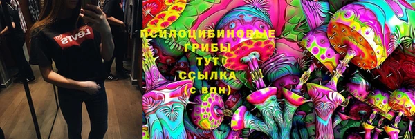 СК Аркадак