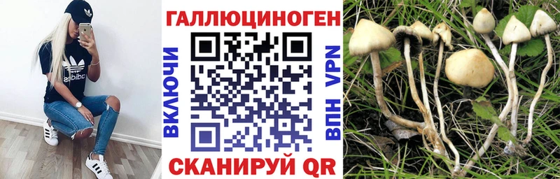 что такое Гремячинск Псилоцибиновые грибы MAGIC MUSHROOMS